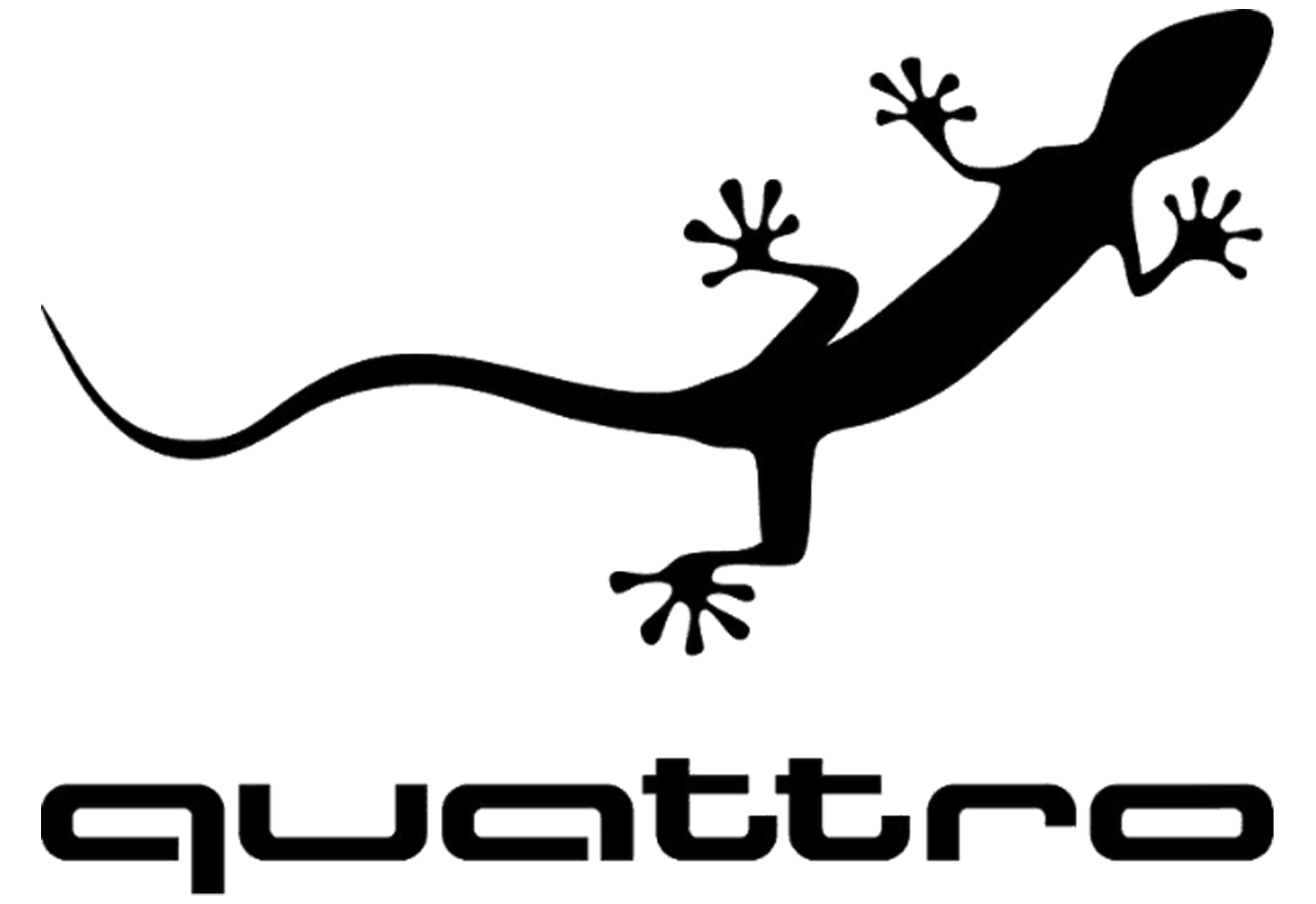 Adhesivo Para Auto Quattro